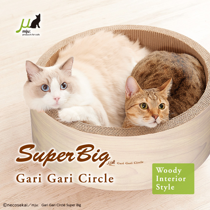 ガリガリサークル スーパービッグ