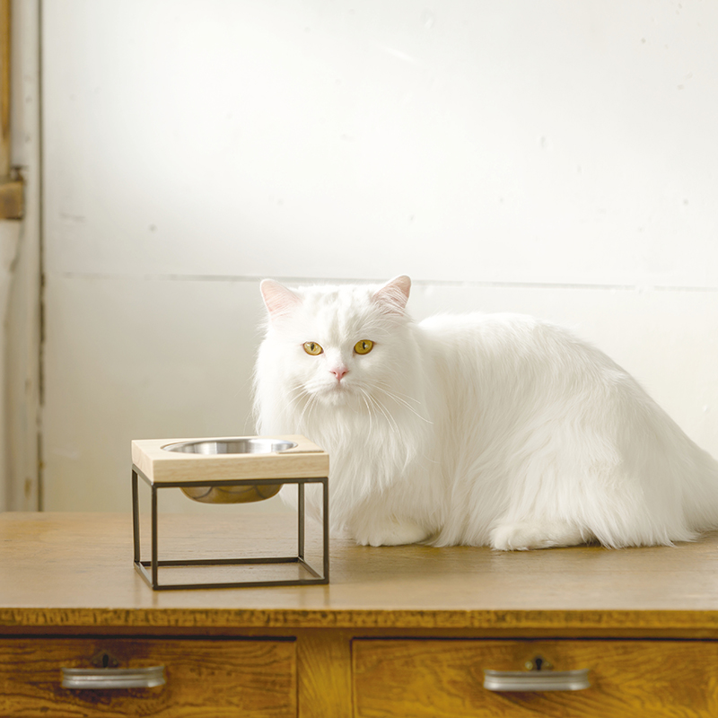 シングルフードボウルモッド