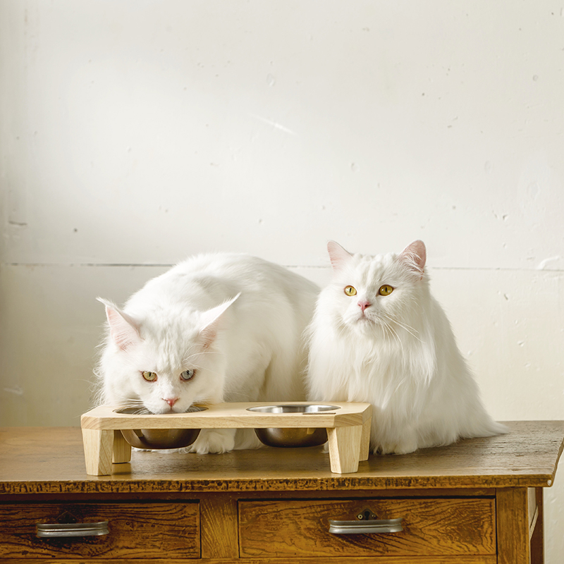 ダブルフードボウルフリッツ