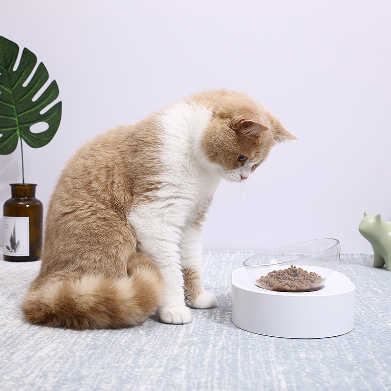 PETKIT フレッシュ・ナノ/シングル