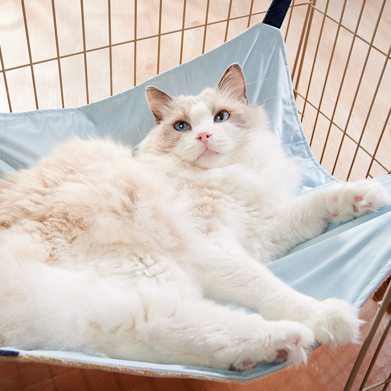 接触冷感フック付きキャットハンモック