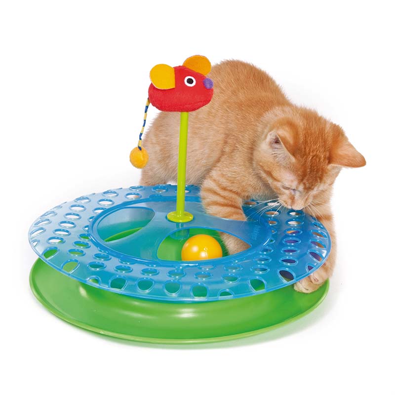 チーズ・チェイス