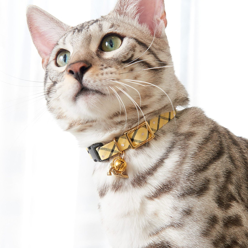 キャットカラー／トリノ