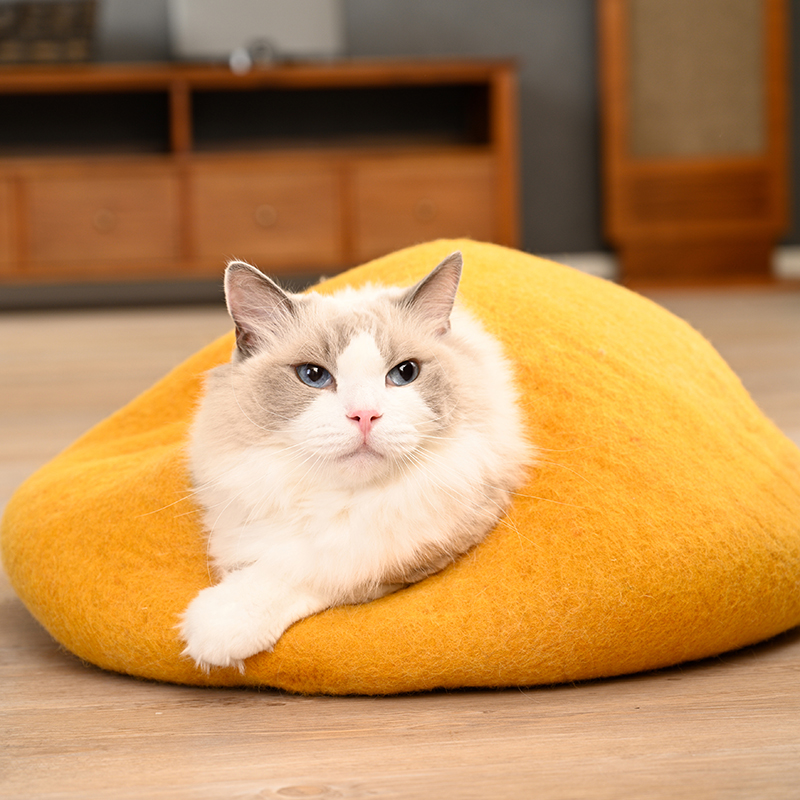 キャットコクーンドーム