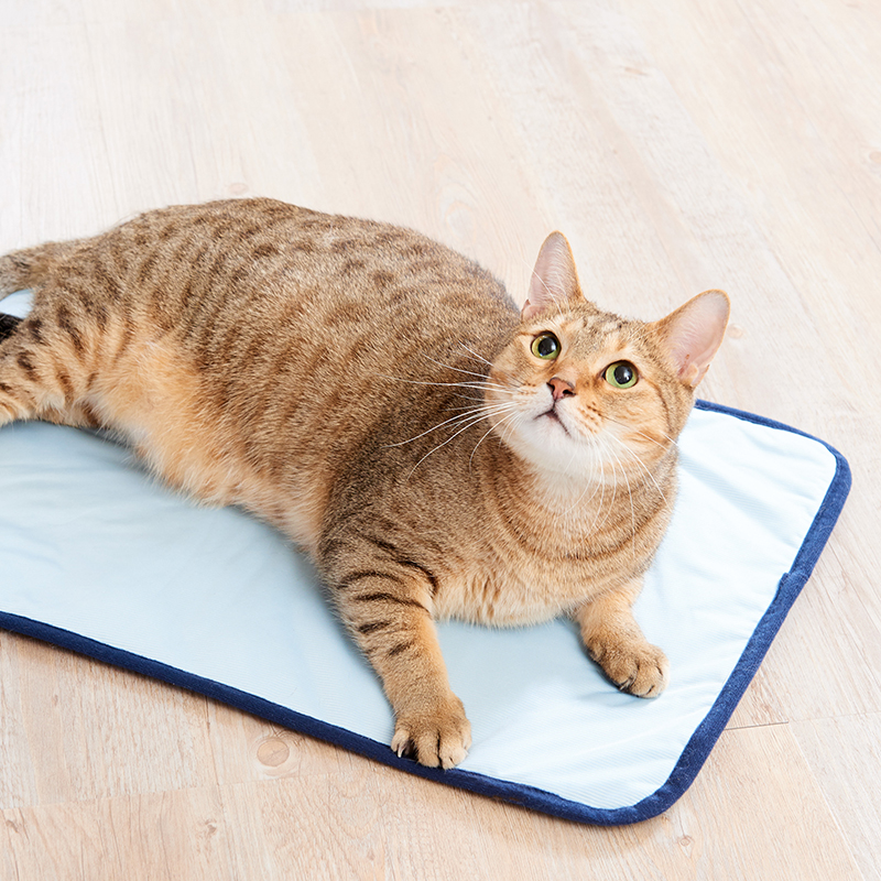 接触冷感＆デニムストライプ キャットブランケット