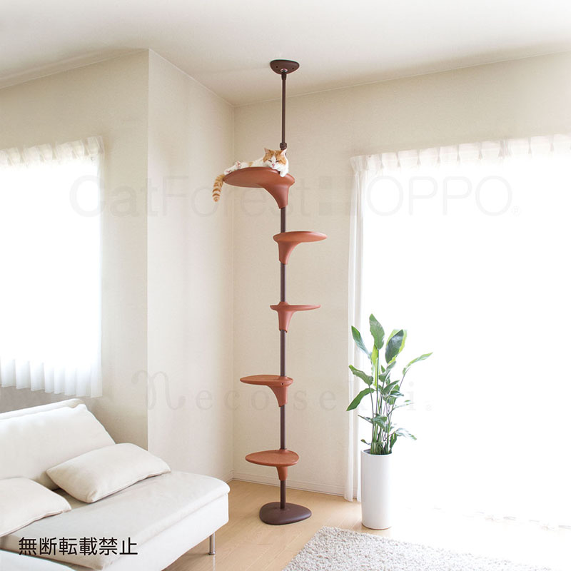 キャットフォレスト