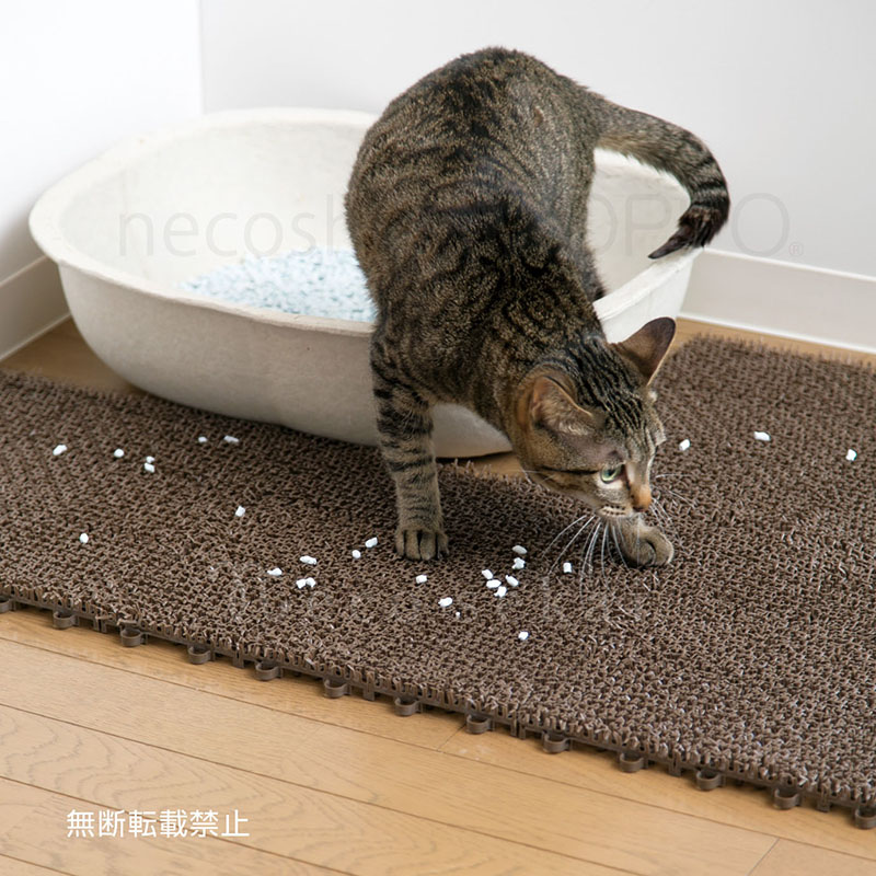 ネコシバ(4枚入)