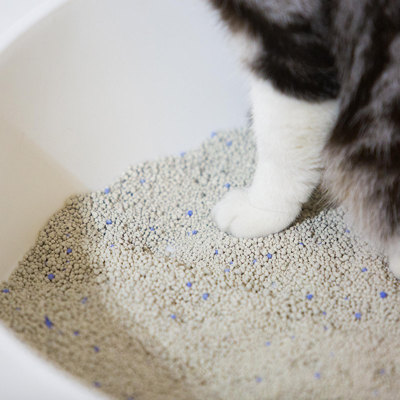 pidan bentonite catlitter