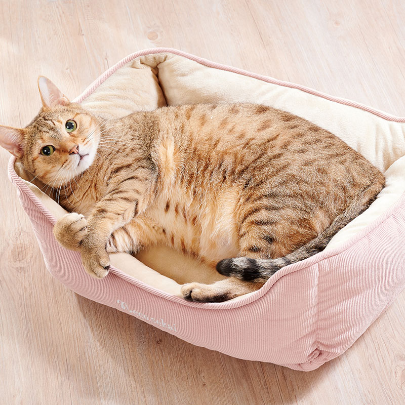 キャットスクエアベッド