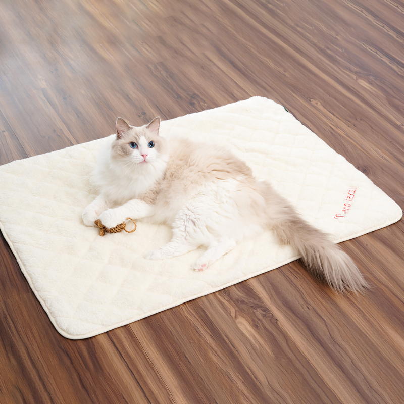 キャットボアブランケット