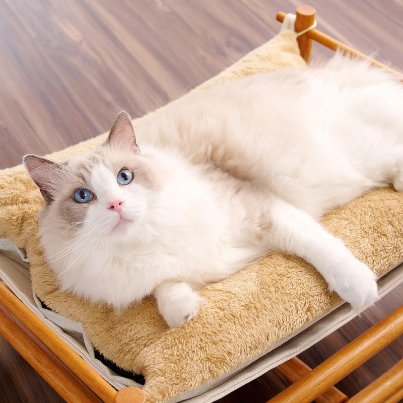 キャットハンモック ウォームクッション＆マットセット（ソファ生地）